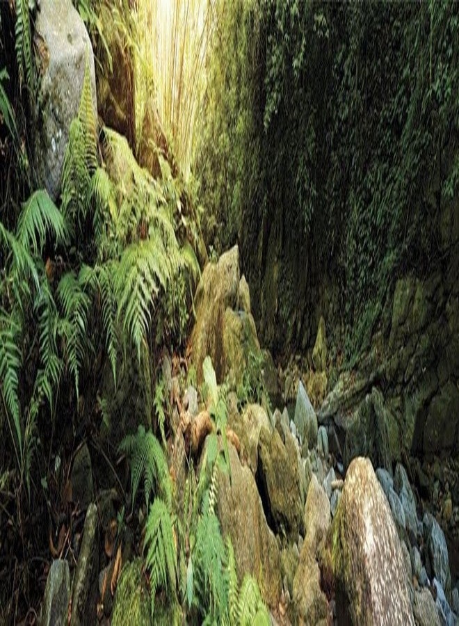 Galapagos Galápagos (05400) Terrarium Background Clings, 11.125" x 36", Woodland - Image 1